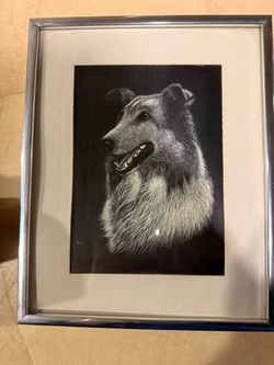 Vintage R. Levy Scratchboard Art — Set of 3 Framed Collie and Kitty Animal Portraits