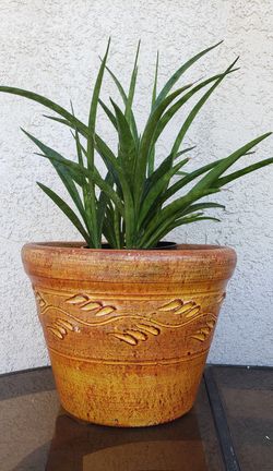 Orange flower pot
