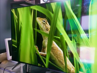 LG 55" SMART  TV LED 4K HDR WEB OS FANTASTIC PICTURE QUALITY GUARANTEED 💯🖥🔥🖥👍