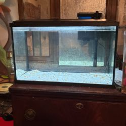 TopFin 10 Gal Starter Kit