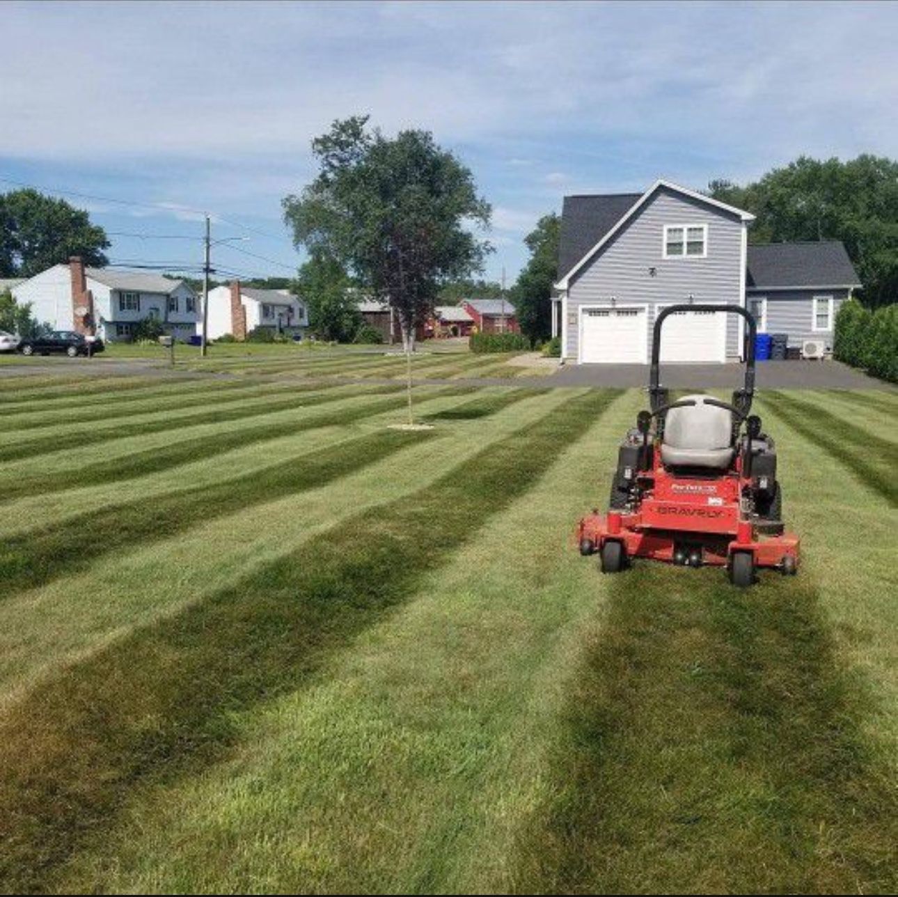 Grass Cutting