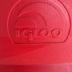 Igloo Cooler