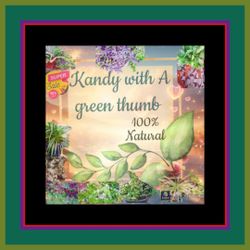 Kandy with a green thumb