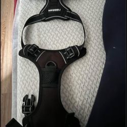 Dog Harness (M)