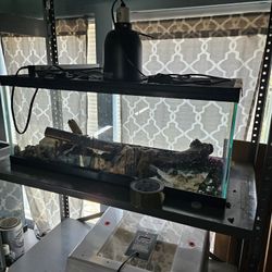 Reptile Supplies And Tanks