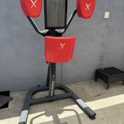 nexersys boxing trainer