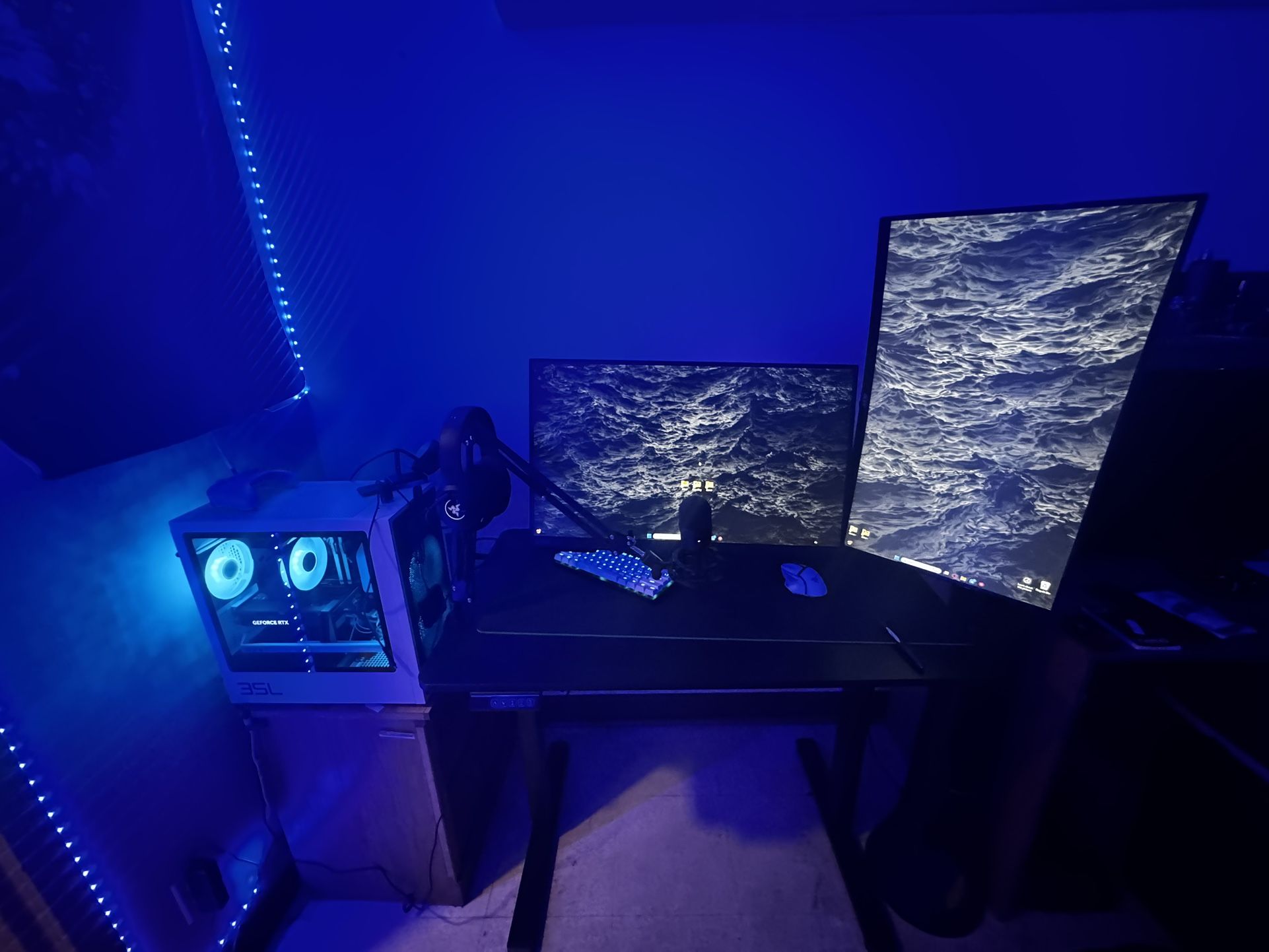 Gaming Setup