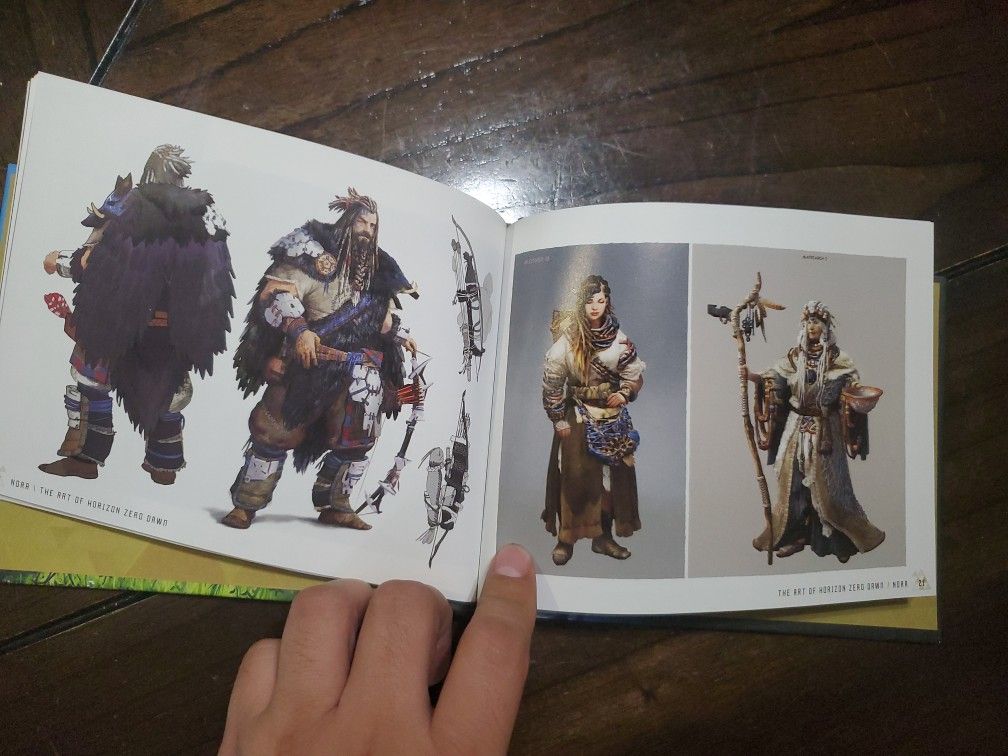 Horizon Zero Dawn Collector's Edition ( No Game)