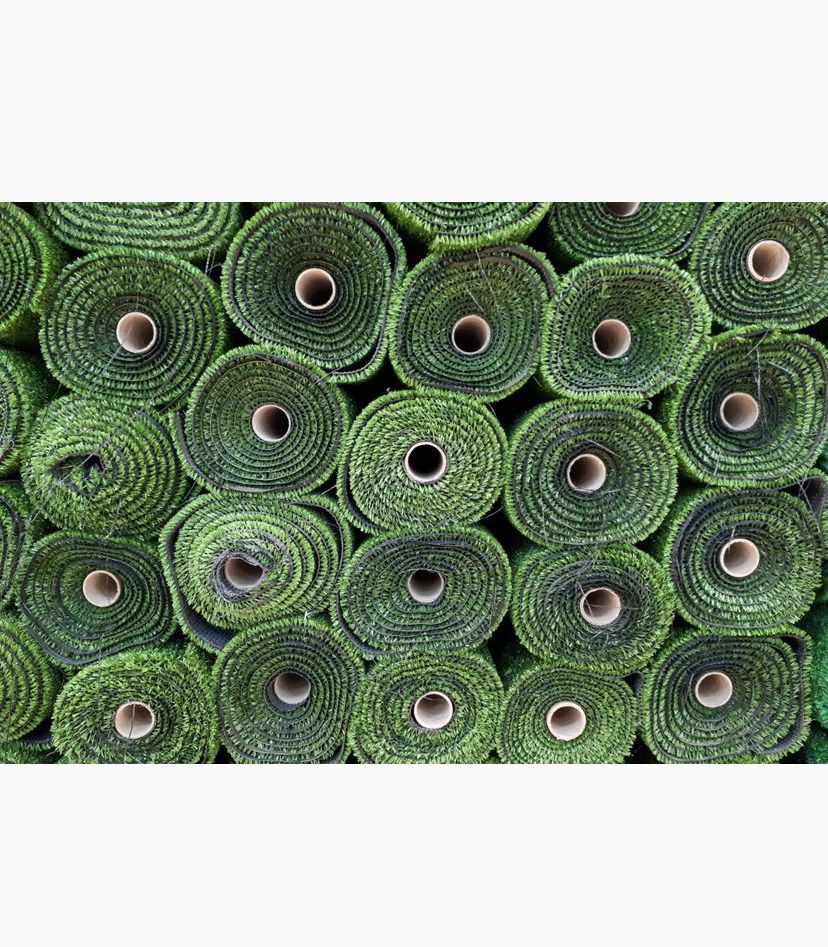 Turf Grass