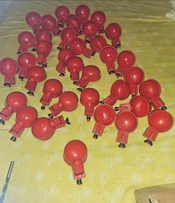 Automatic watering cups and drilling bit
