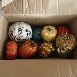 Pumpkins For Sale