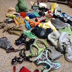 Huge Lot Of Small Dog Or cat Pet Items