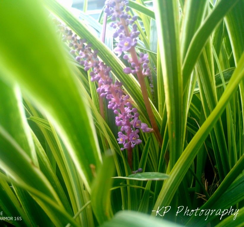 Photography And Digital Art