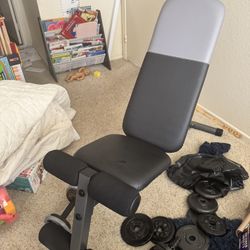 Workout Bench
