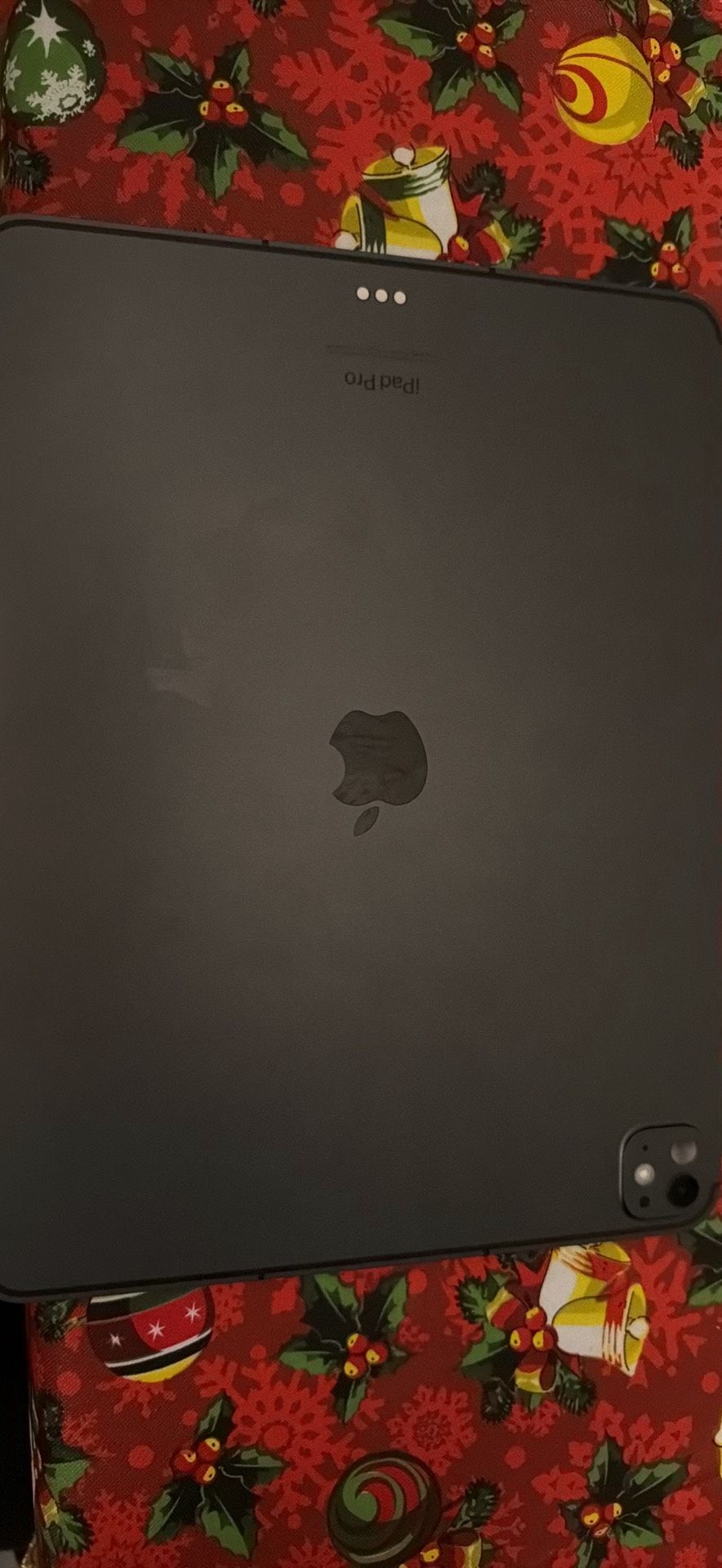 Ipad pro 13 inch m4 STATEN ISLAND