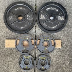 Olympic Weight Plates 100 lbs