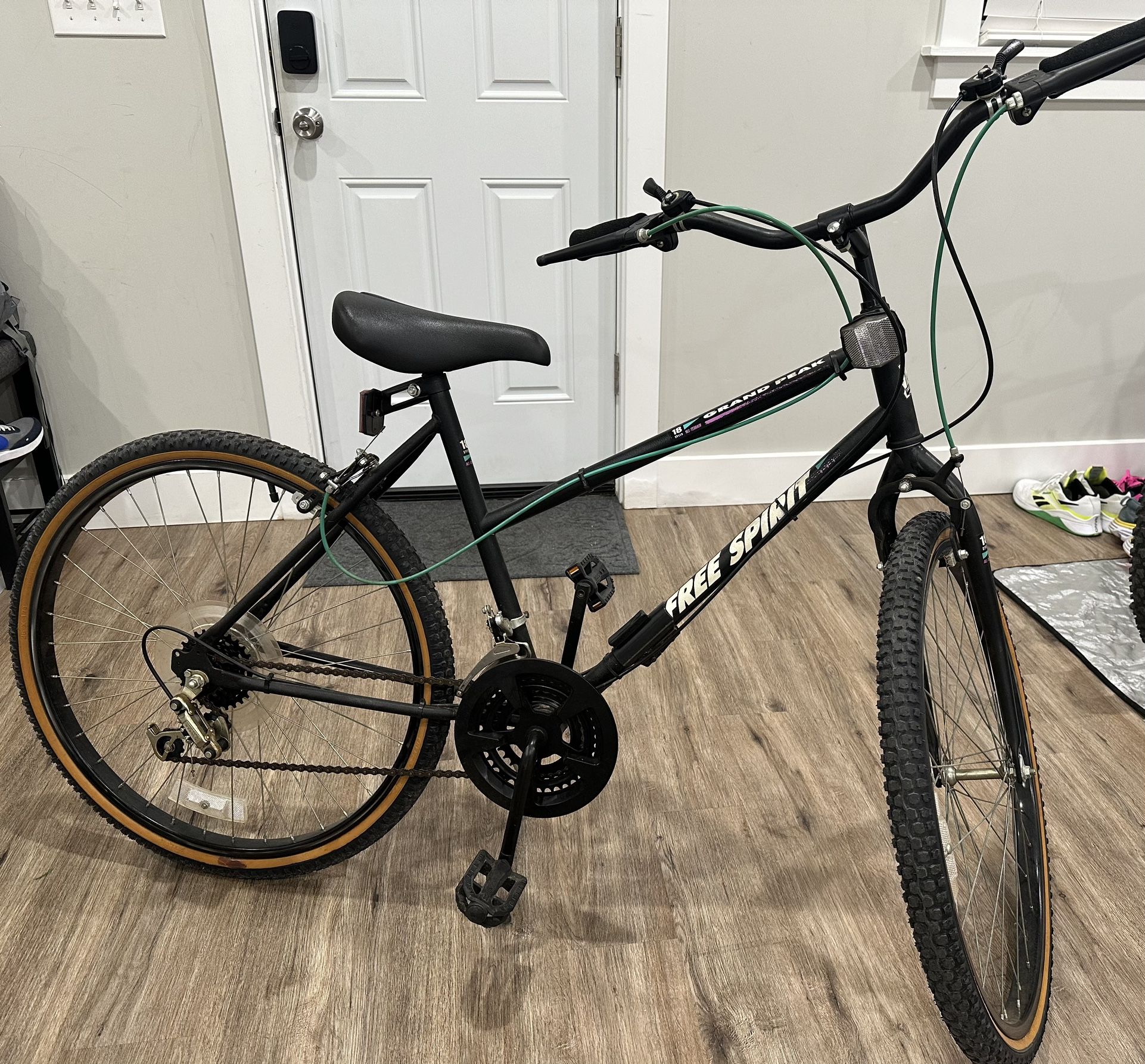 Free Spirit Bike $100