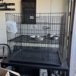 Elevated Puppy Playpen 