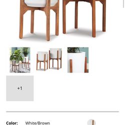 Plant And Stands
