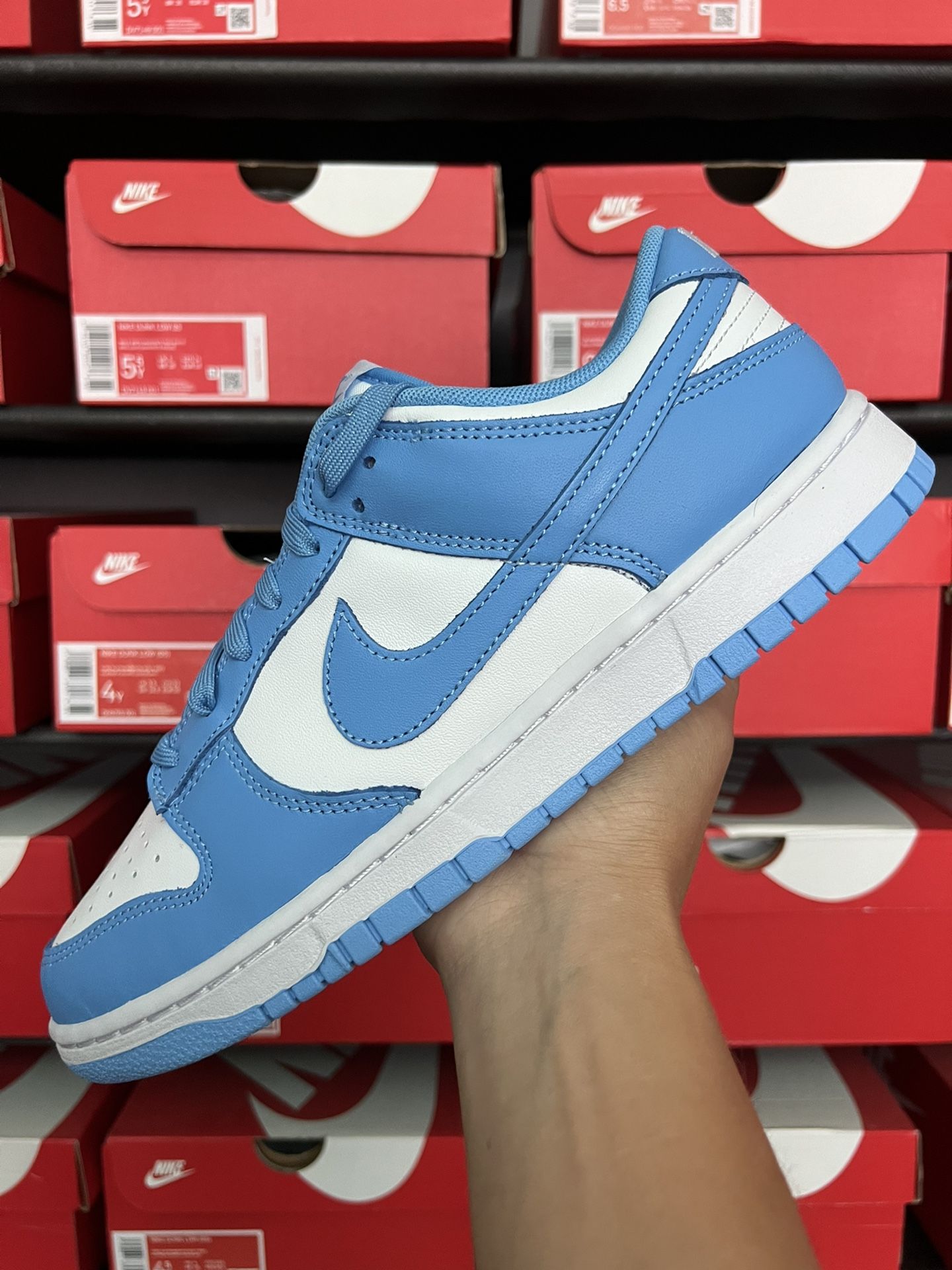 Nike Dunk Low UNC