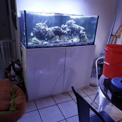 Salt Water Tank 