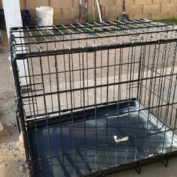 Dog Cage