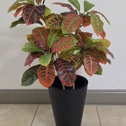 *** REDUCED *** 28" Faux Croton in a 15" Black Resin Planter @ Lasting Creations