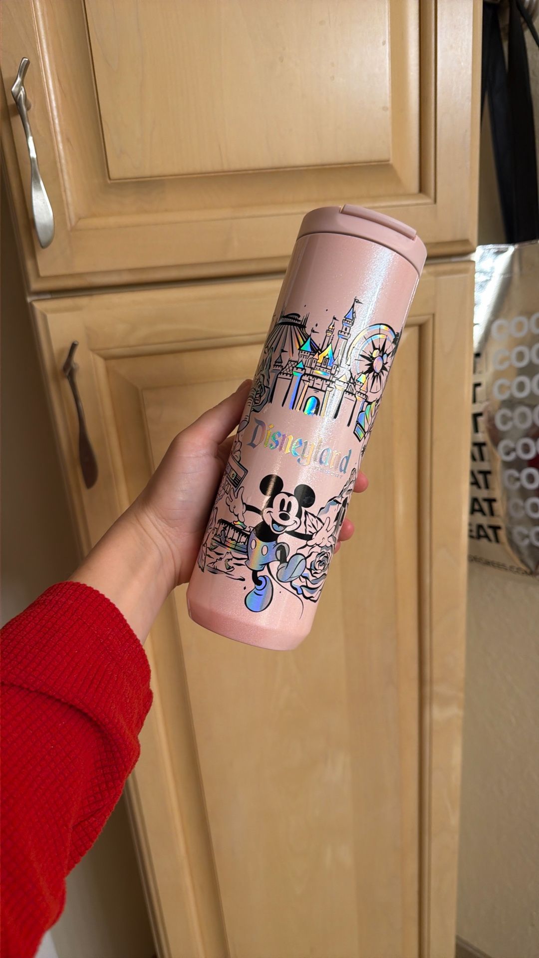 Starbucks Disneyland Cup!