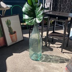 plant