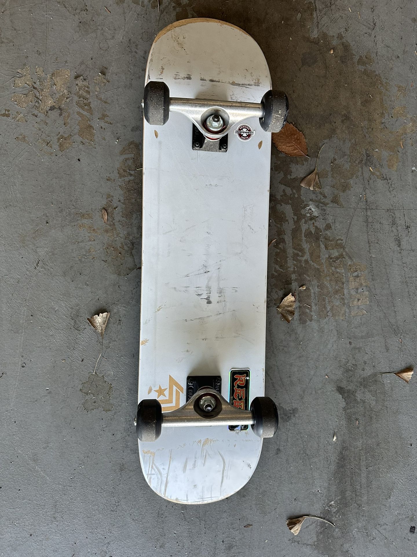 Mini Logo Skateboard