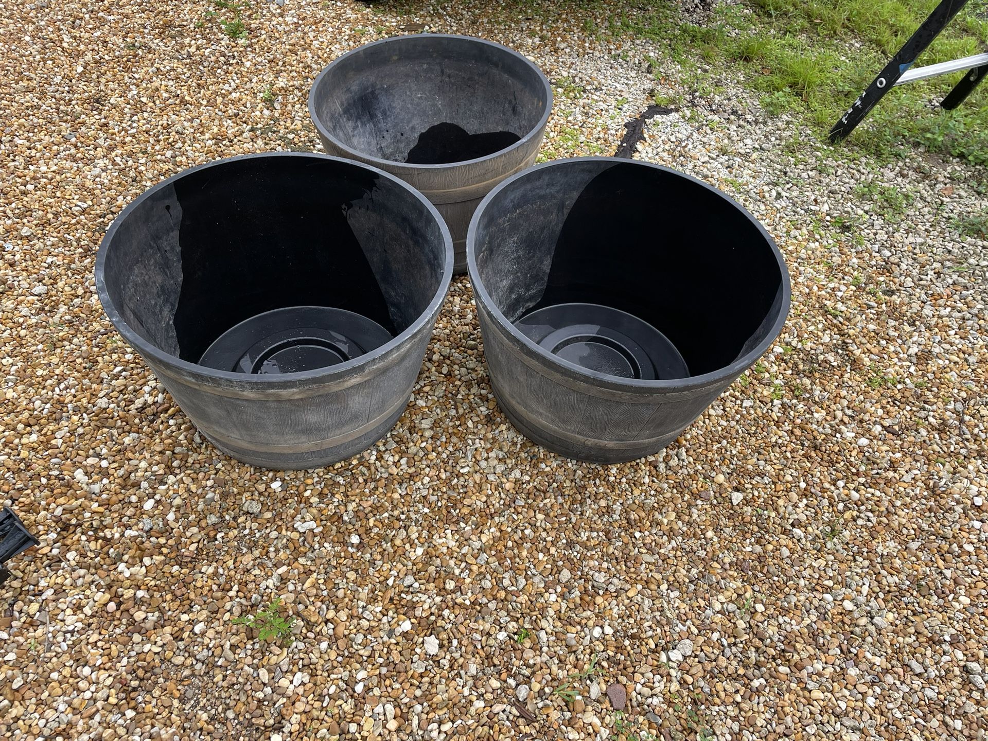 3 Whiskey Barrel Pots 10 Dollars Each