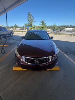 2010 Honda Accord
