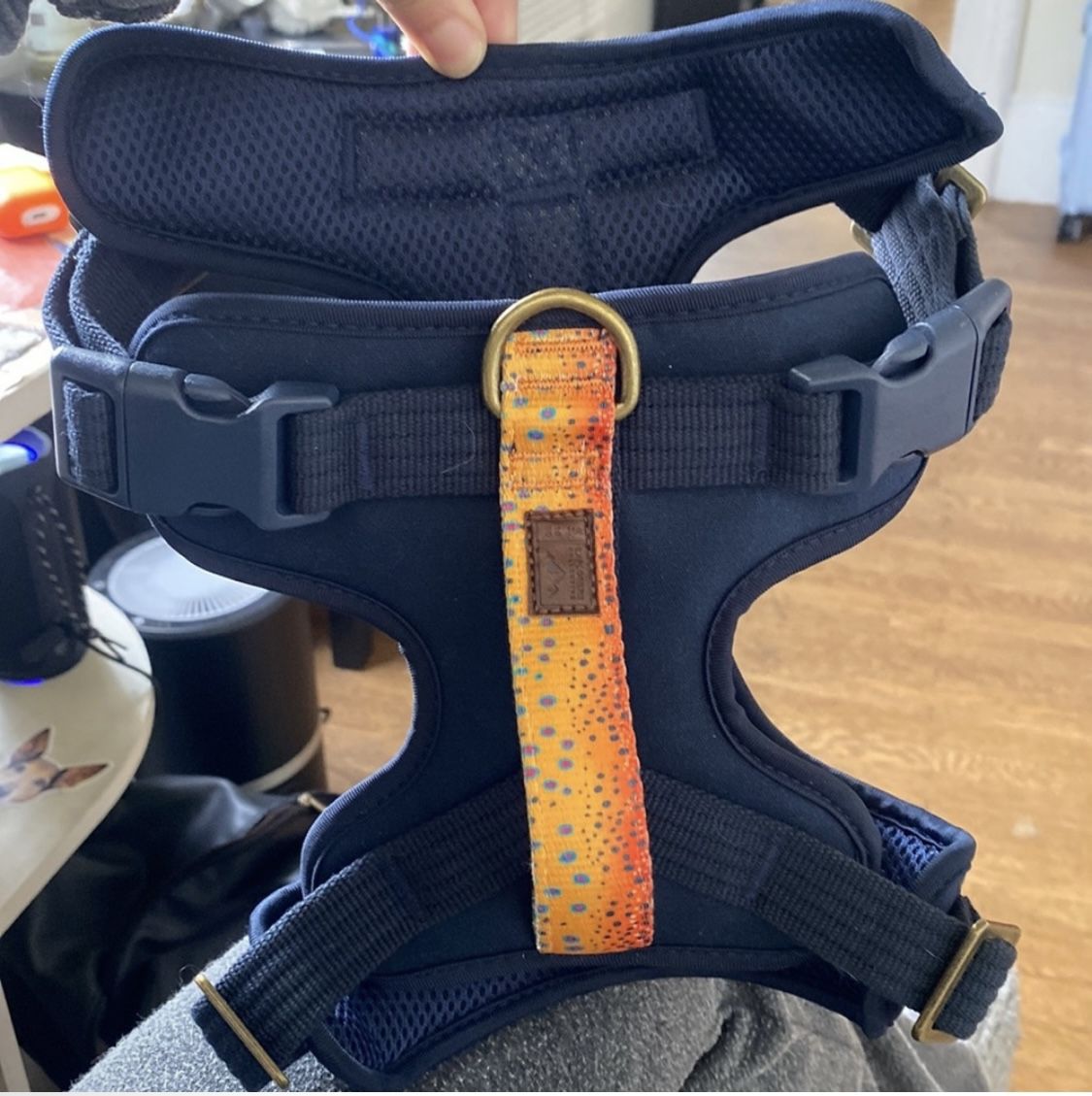 Small Dog Harness