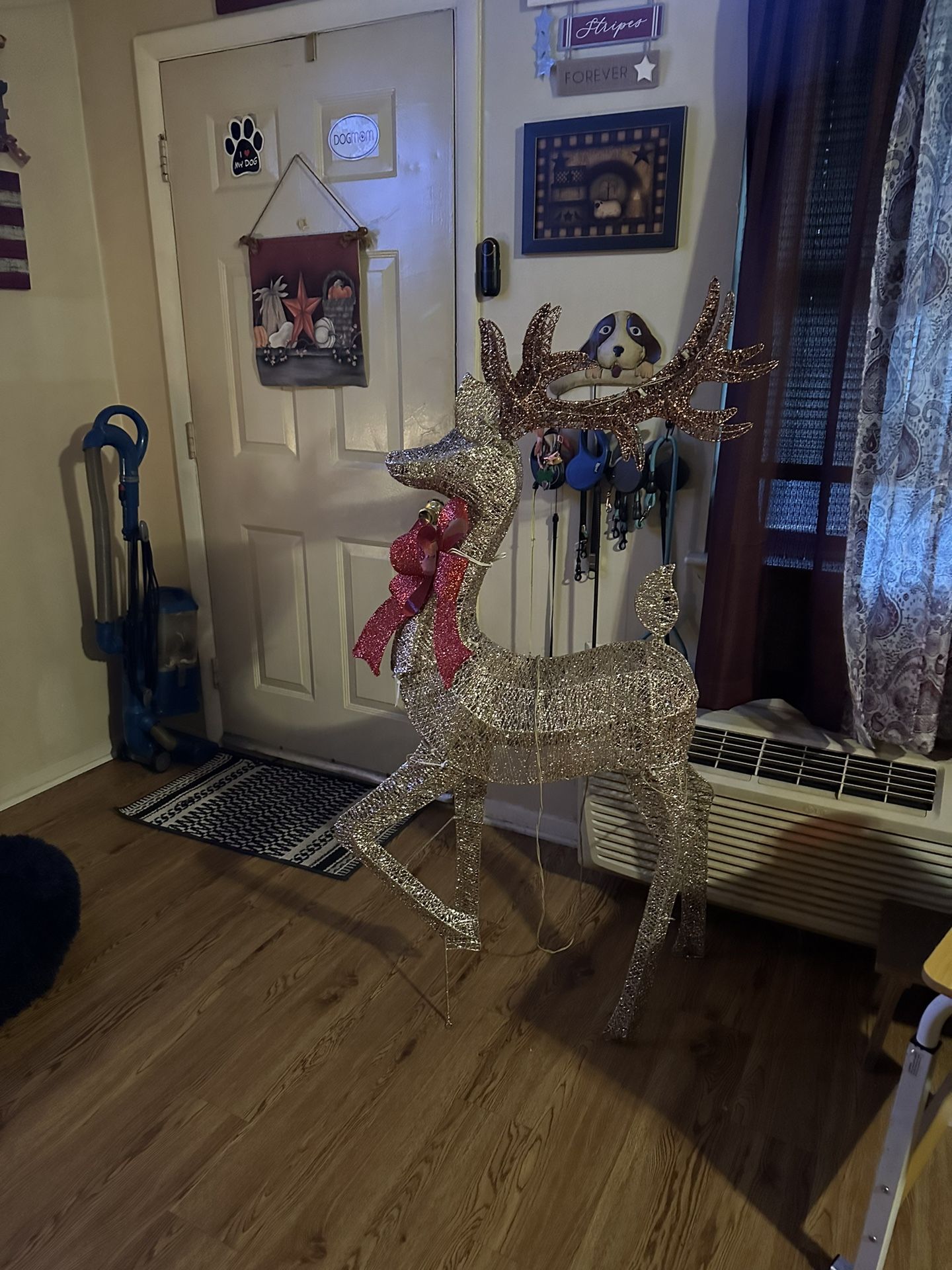 Reindeer