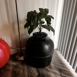 Cat Owner Starter Pack