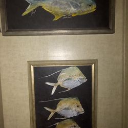 2 Gyotaku Framed Fish prints
