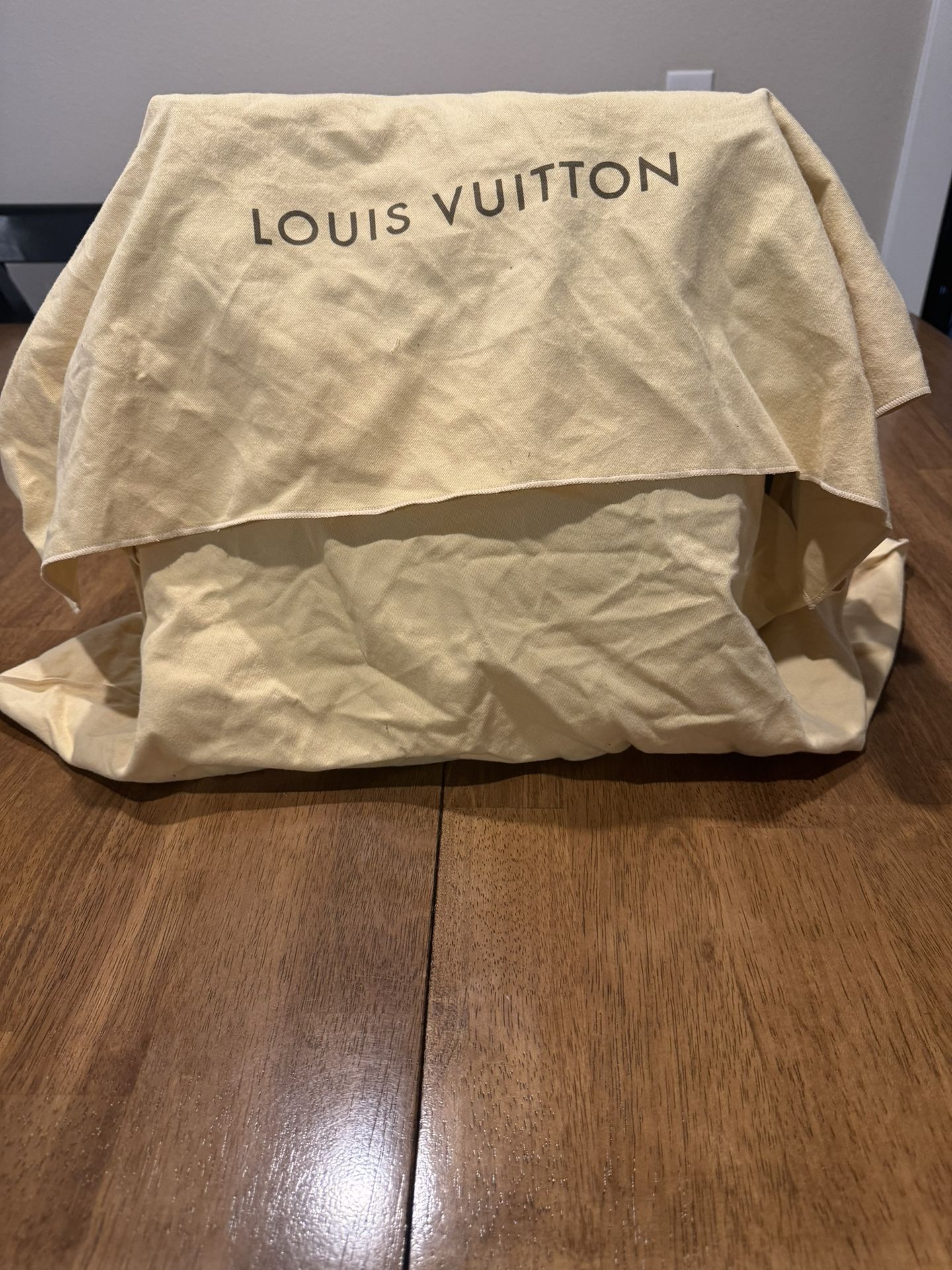 Louis Vuitton Bag