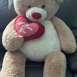 Extra Large Teddy Bear 