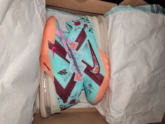 Nike LeBron