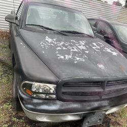 2001 Dodge Dakota