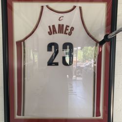 LeBron James Rookie Year Jersey