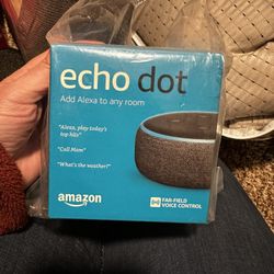 Echo Dot 