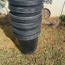 15 Gallons Planters