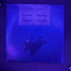 Hit Me Hard and Soft vinyl