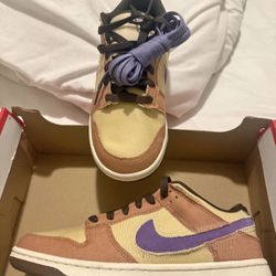 Brand new nike dunks