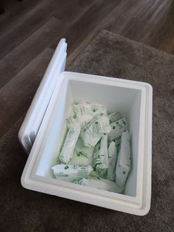 Free: Styrofoam cooler and 12+ disposable ice packs