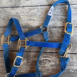 Royal Blue Weaver Halter AND Lead Line