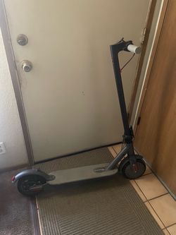 Electric Scooter