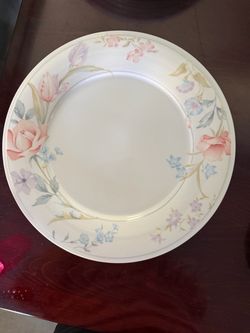 Pattern dinner plates 11 inch of 5