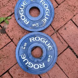 Rogue Fitness 5lb Change Plates 